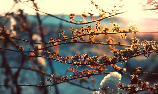 В Украину на пару дней идет настоящая весна, а затем снова вернется зима